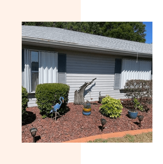 A garden with a sculpture of a bird among plants and a house exterior.