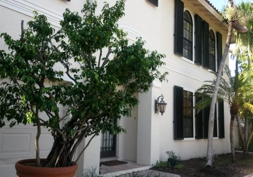 House exterior with potted tree and palms