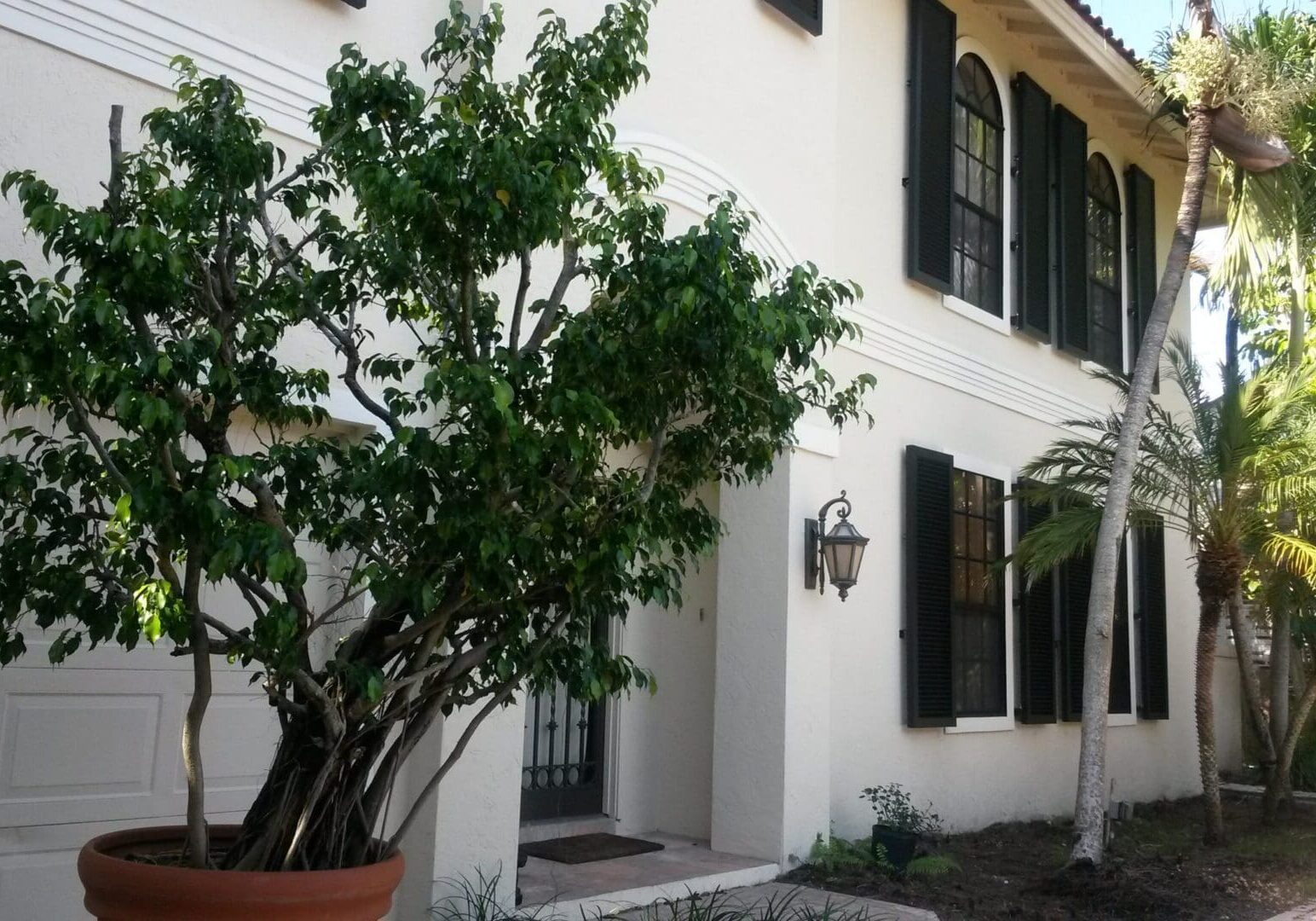 House exterior with potted tree and palms